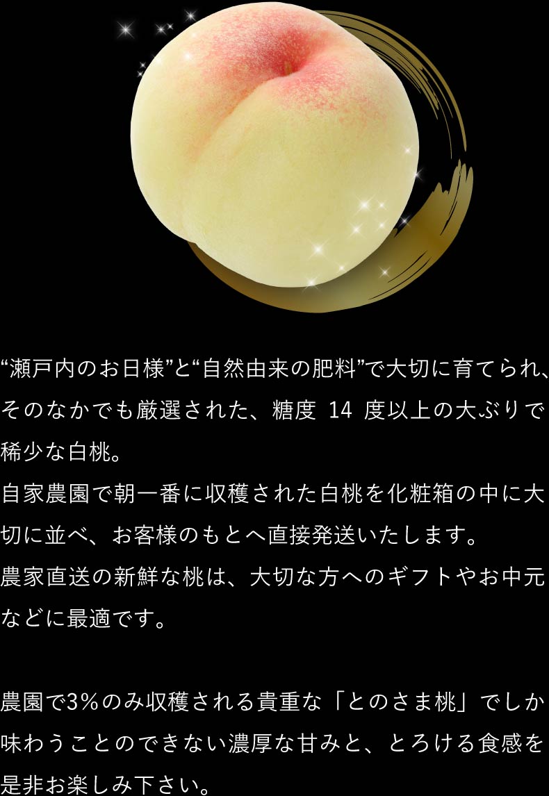 濃厚な甘み とろける食感