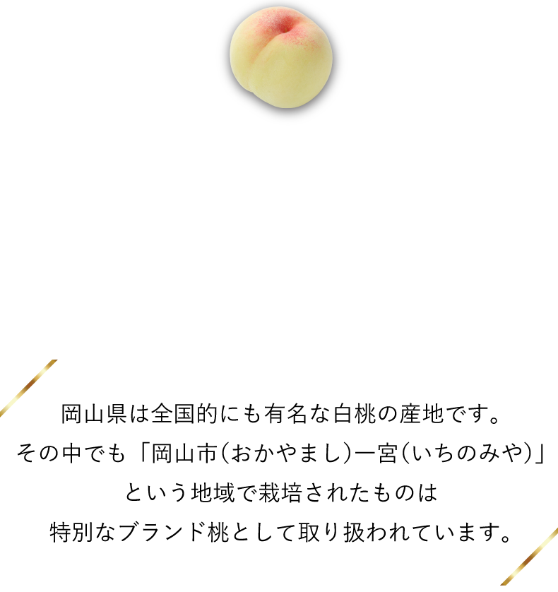 岡山 白桃の産地