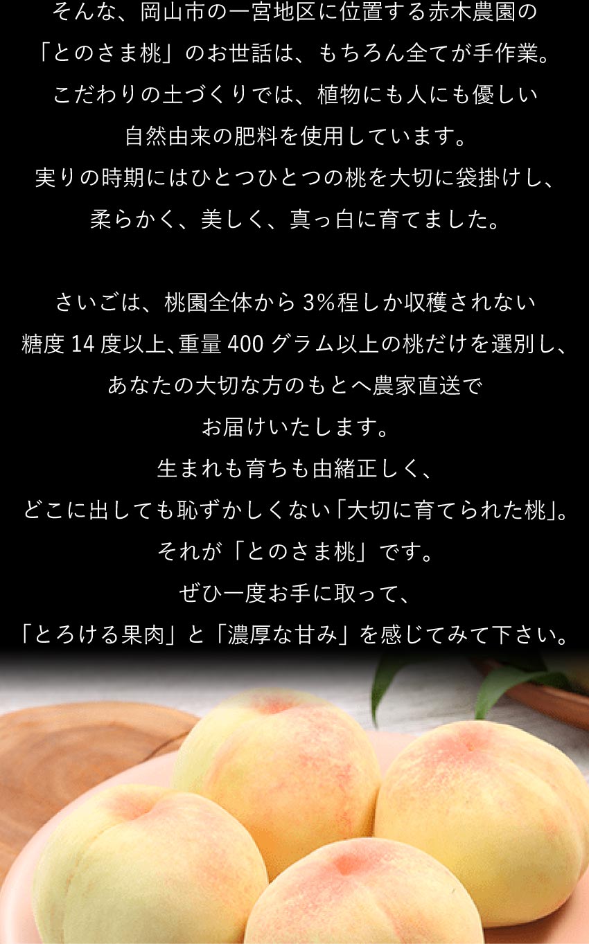 こだわりの土づくり