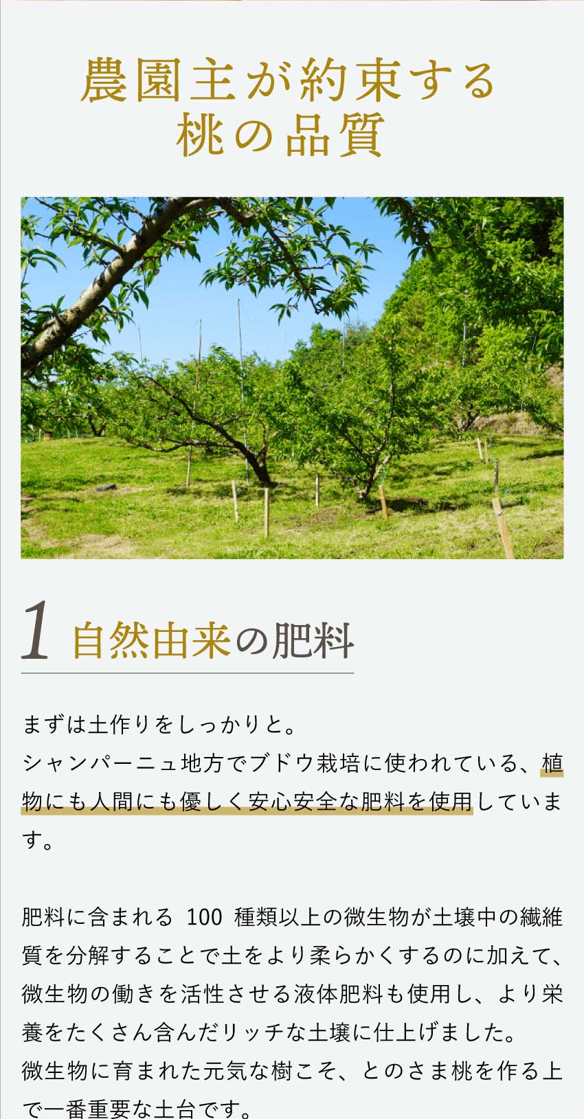 自然由来の肥料