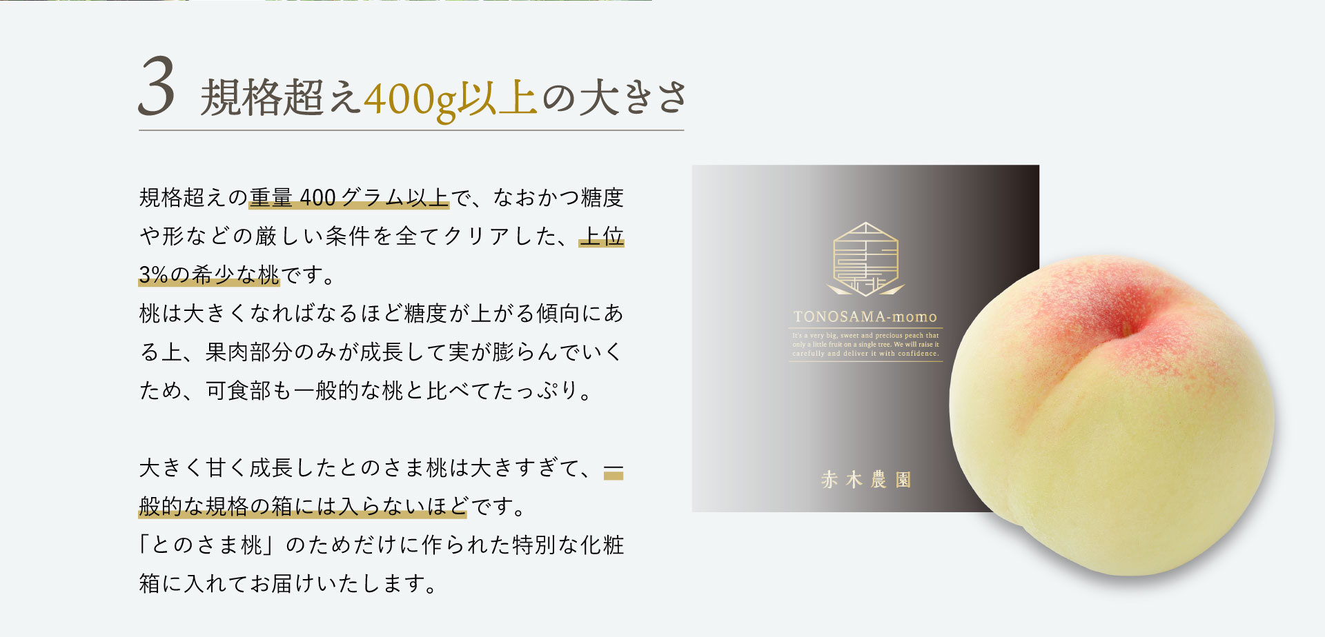 規格超え400ｇ以上の大きさ