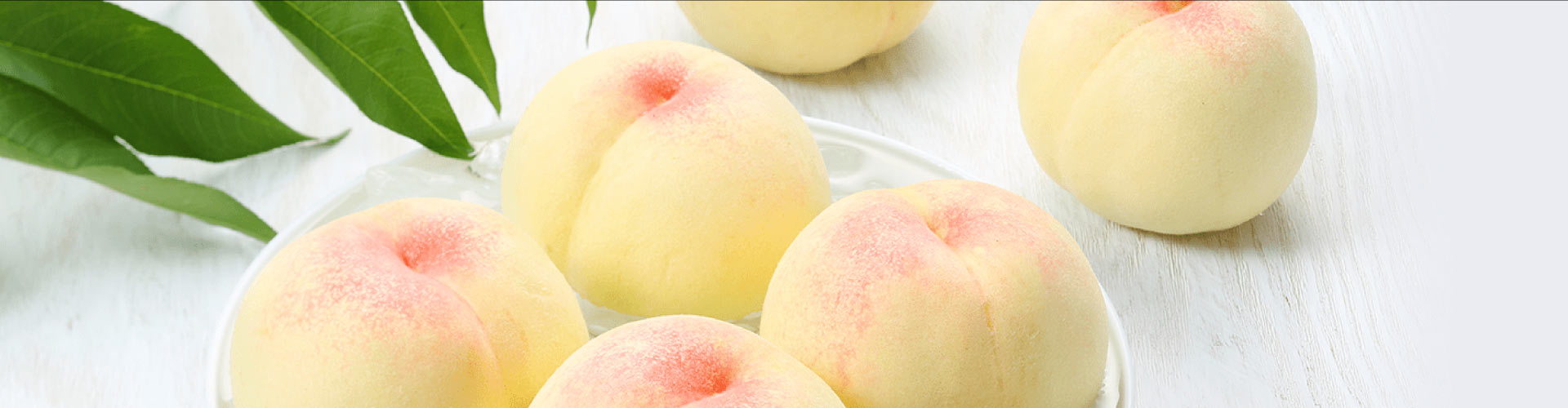 ギフト 贈りもの 贈答品 桃