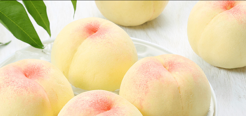 おかやま 白桃 高級