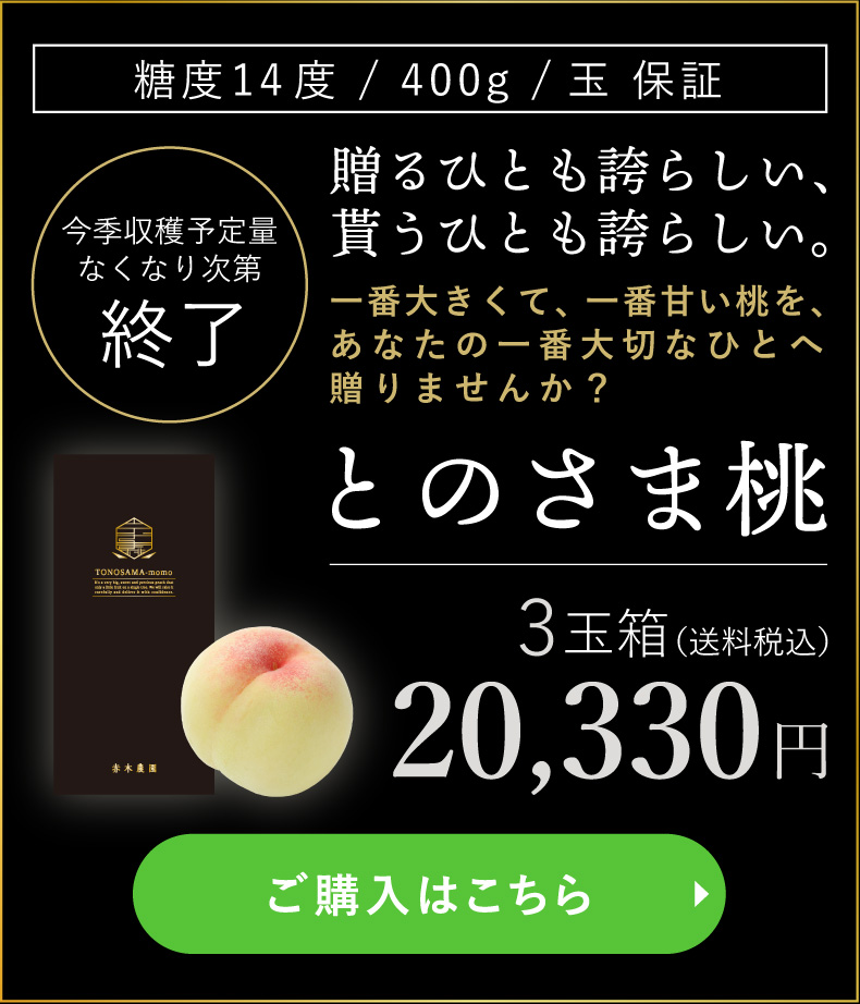 とのさま桃購入 3玉箱