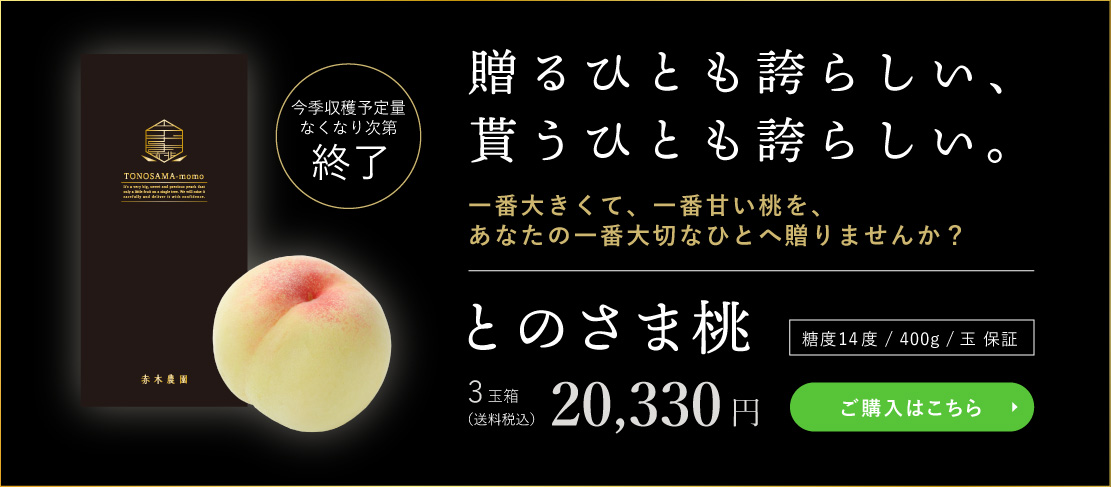 とのさま桃 3玉箱