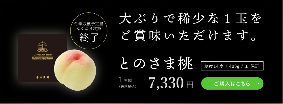 とのさま桃 1玉箱