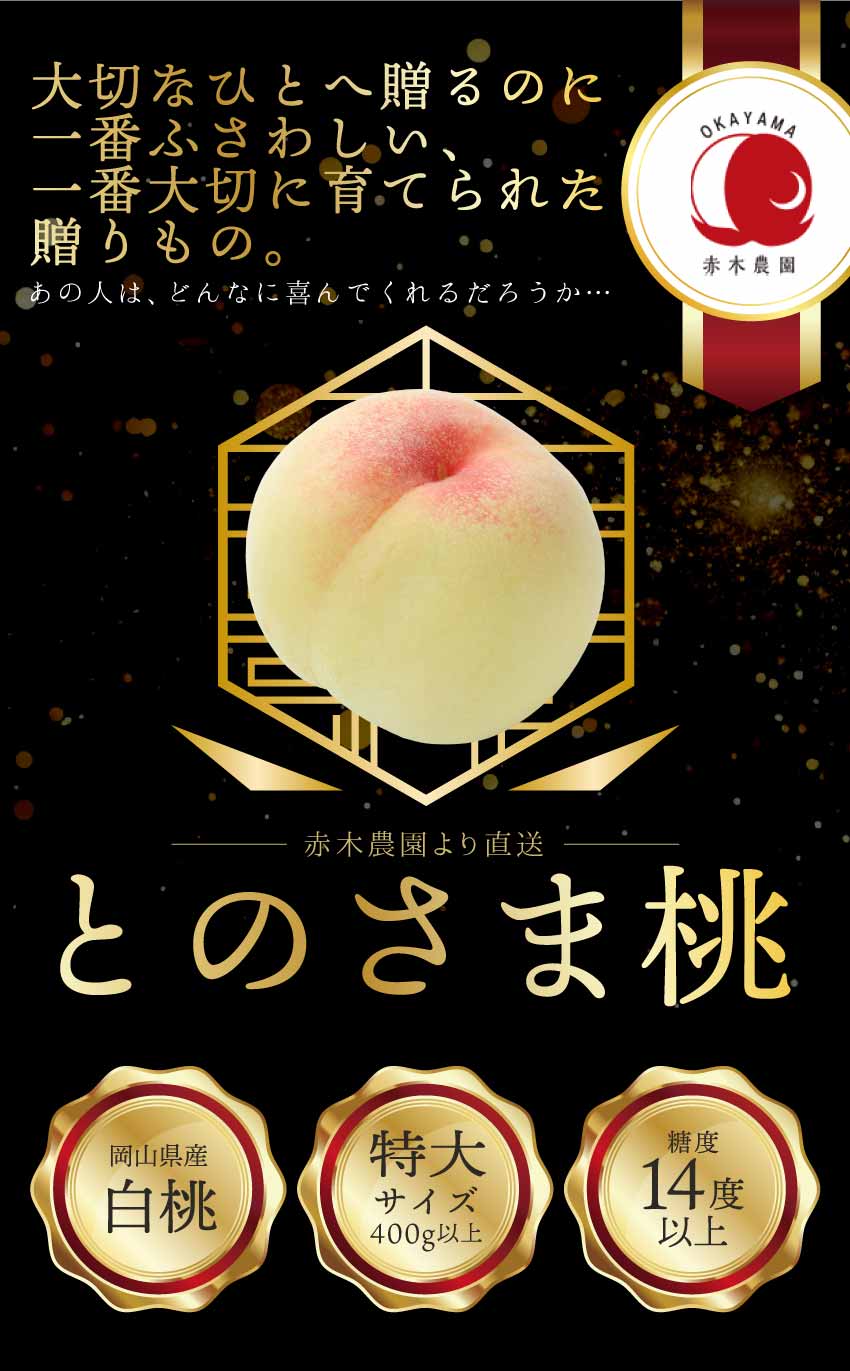 岡山県産白桃 特大サイズ 400g 糖度14度以上